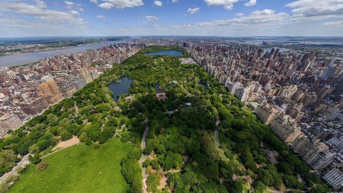 Aerial view of Central Park, New York City