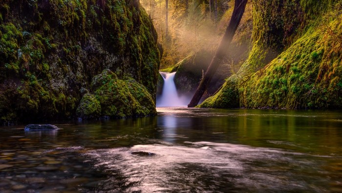 Sunlit Forest Waterfall and Mossy Rocks