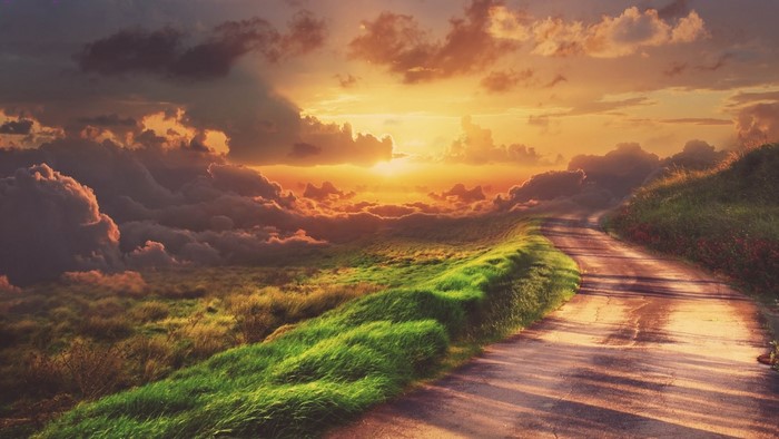 Road through a grassy field at sunset