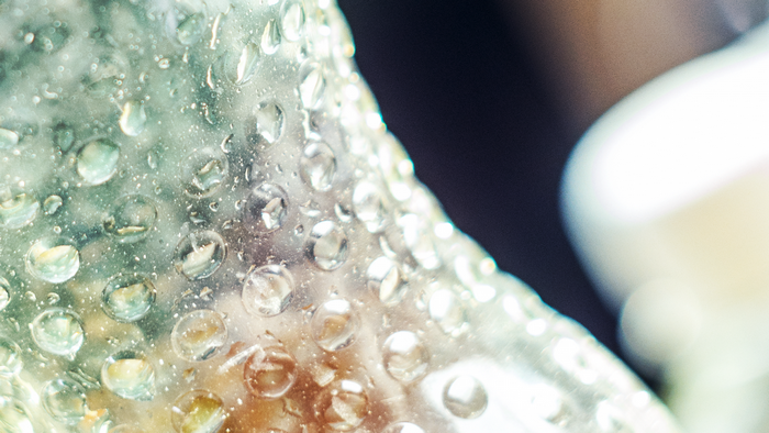 Close-up of water droplets on a textured surface