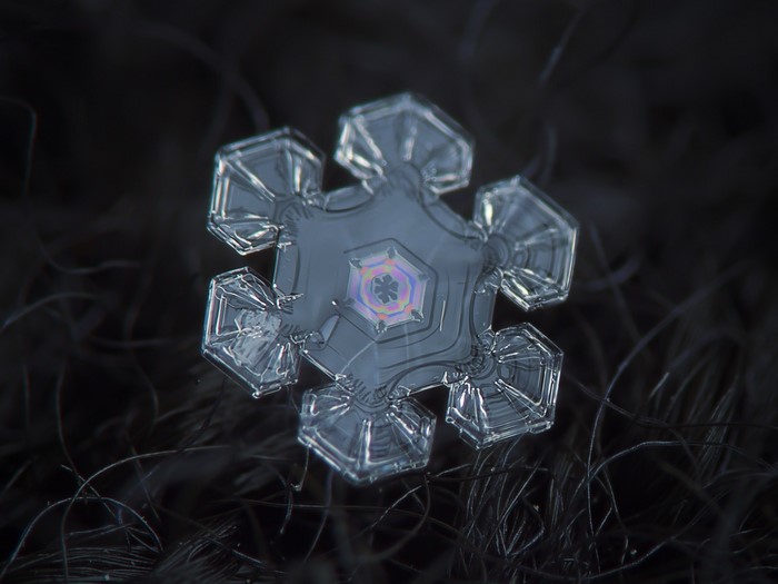 Close-up of a snowflake on dark fabric