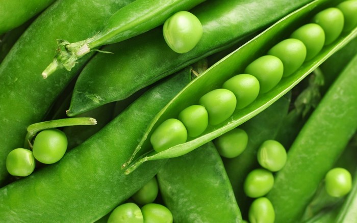Close-up of fresh green peas in pods