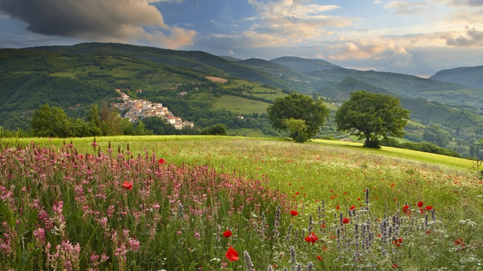 Hillside village with wildflower meadow and rolling hills