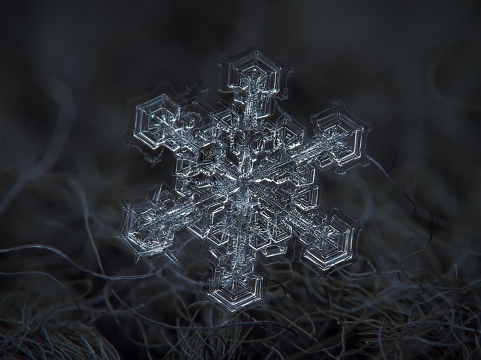 Close-up of a snowflake on dark fabric