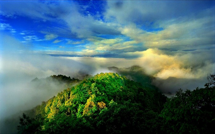 Misty mountain landscape with green forest and blue sky