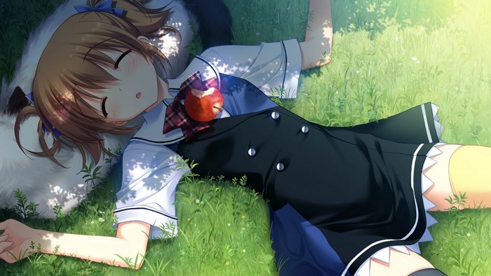 Irisu Makina from Grisaia no Kajitsu sleeping with an apple