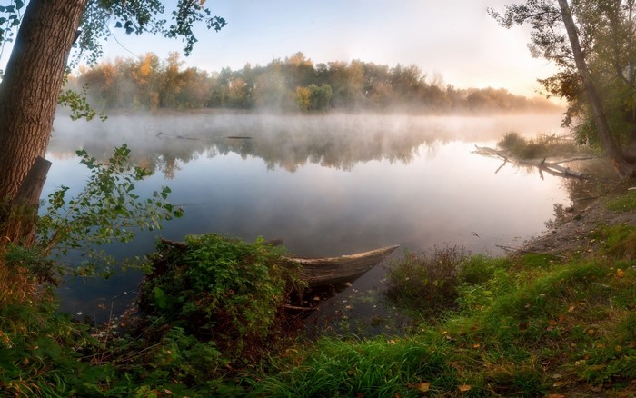 Misty river at sunrise with trees and reflections