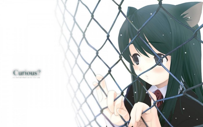 Anime girl with nekomimi behind a fence