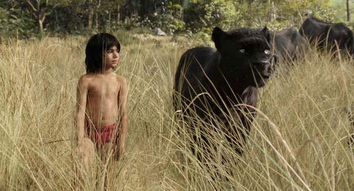 Mowgli and Bagheera from The Jungle Book in a field