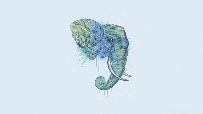 Drawing of an elephant head with watercolor splashes