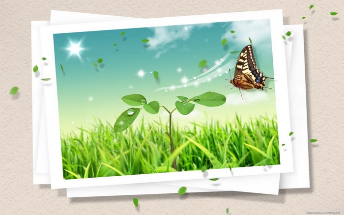 Illustration of a butterfly over a plant and grass