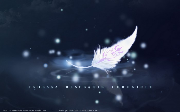 Tsubasa Reservoir Chronicle feather with ripples