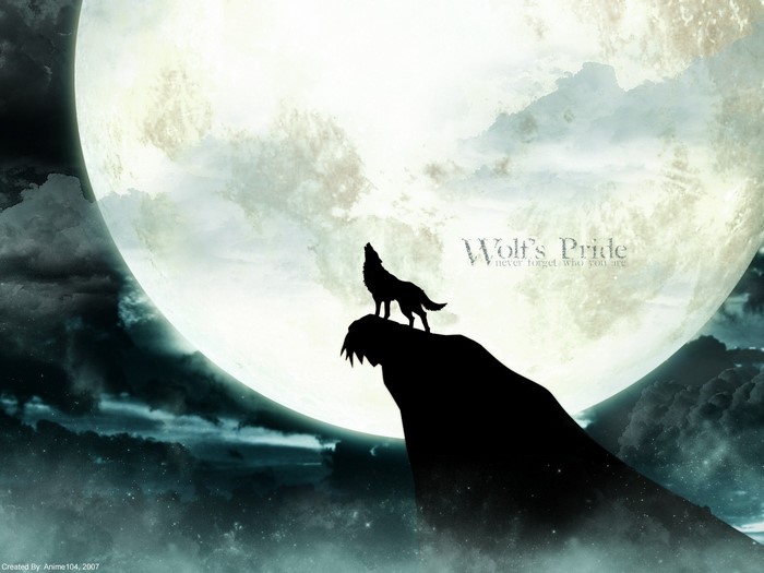 Wolf howling at the moon