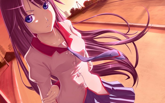 Senjougahara Hitagi from Monogatari Series illustration