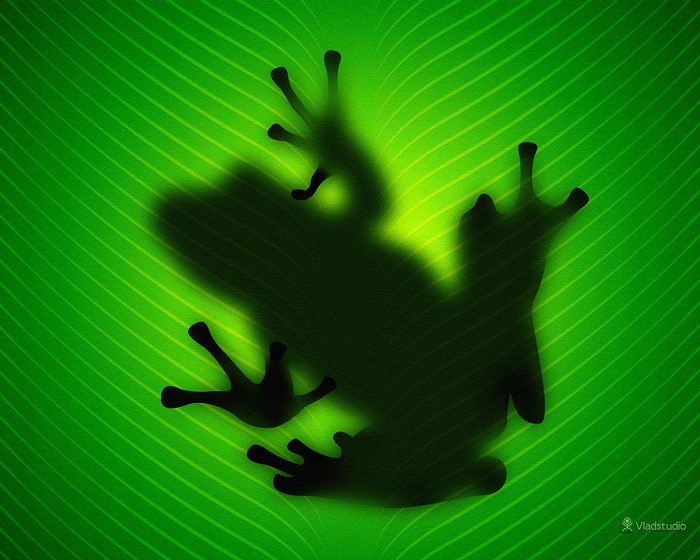 Silhouette of a frog on a green leaf