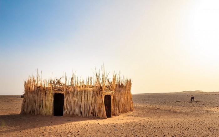 Thatched hut in the Sahara desert