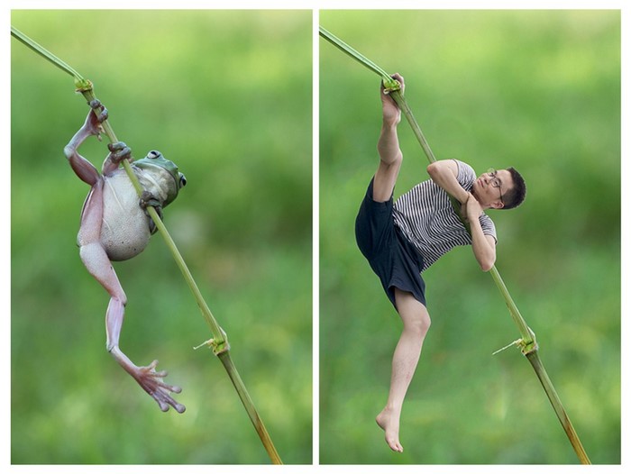 Frog and person climbing on a plant stem
