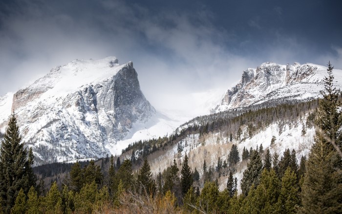 Snowy mountains with pine forest and cloudy sky