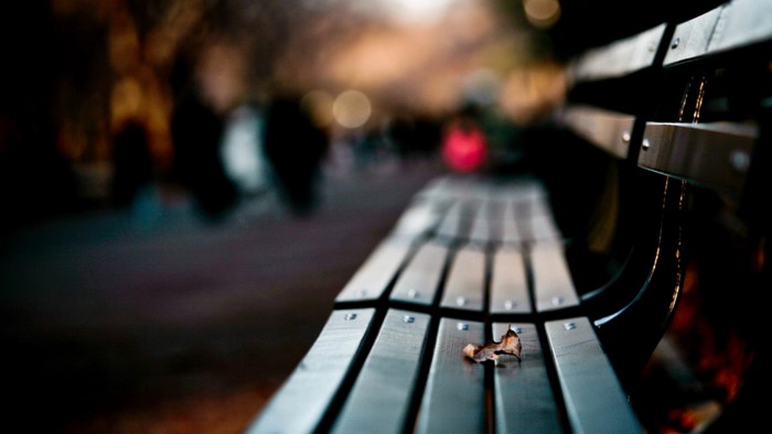 A lone leaf rests on a park bench at night