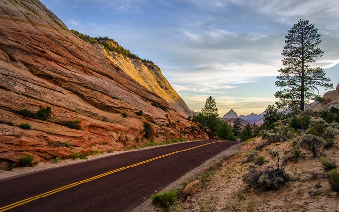 Scenic road through Zion National Park with sandstone cliffs