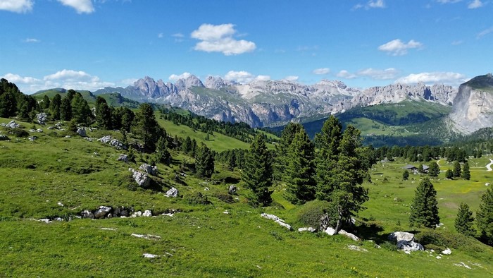 Dolomites Mountains landscape with green meadows and pine trees