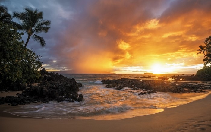 Sunset over a tropical beach with palm trees and rocks