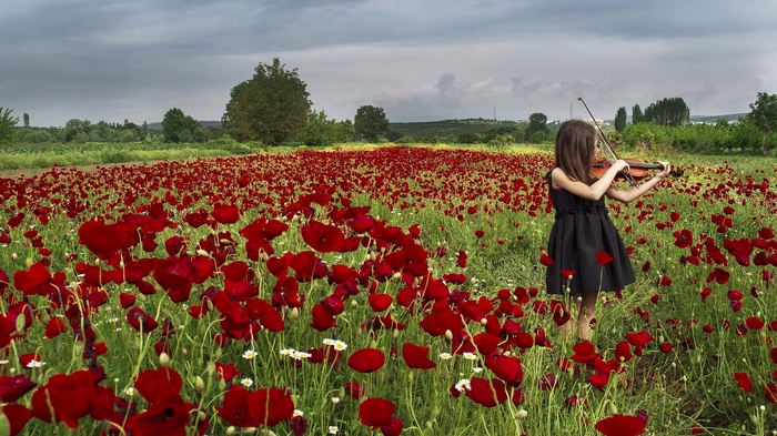 Girl playing violin in a field of poppies