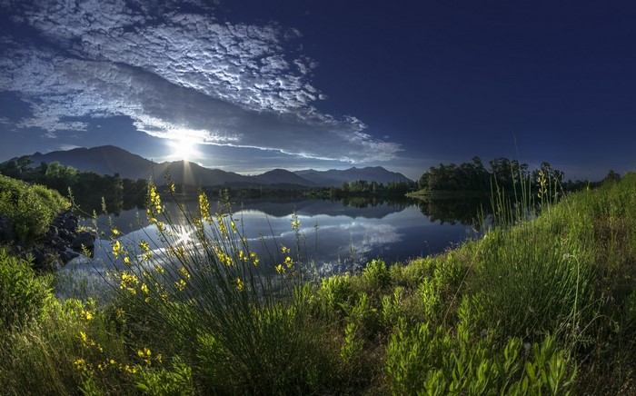 Sunrise over a mountain lake with yellow flowers