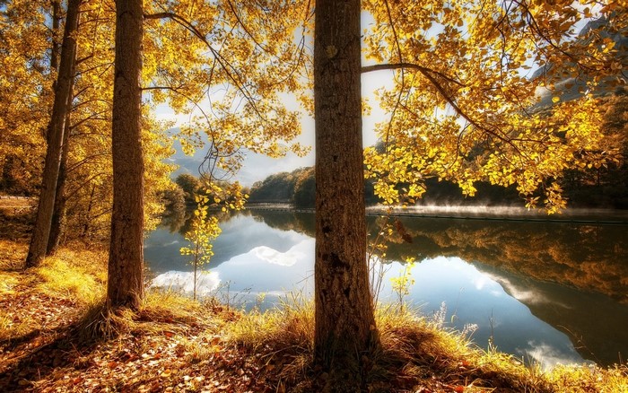 Autumn forest landscape with lake reflection