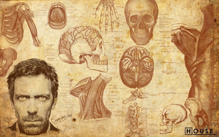 Gregory House Anatomical Sketch Art
