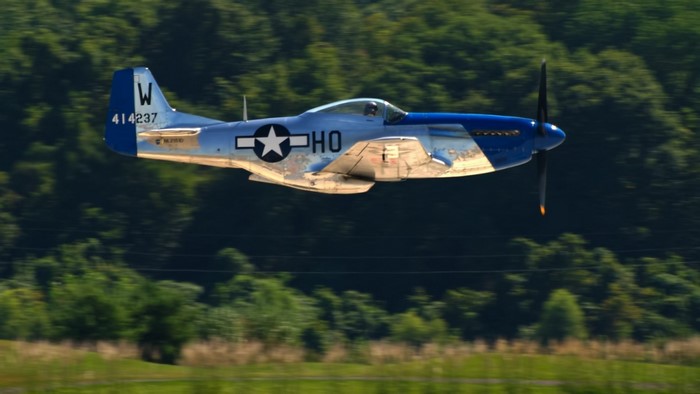 North American P-51 Mustang flying over trees