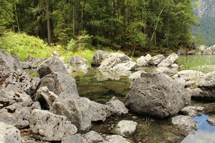 Rocks in a clear mountain lake with forest background