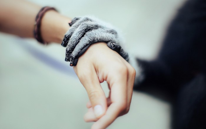 Monkey's paw on a human hand