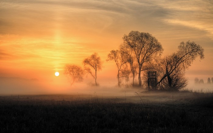 Sunrise over a misty field with trees