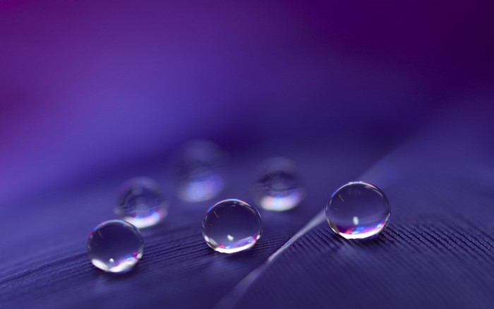 Macro Water Droplets on Purple Surface