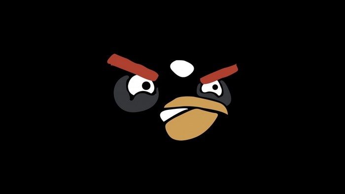 Bomb from Angry Birds illustration