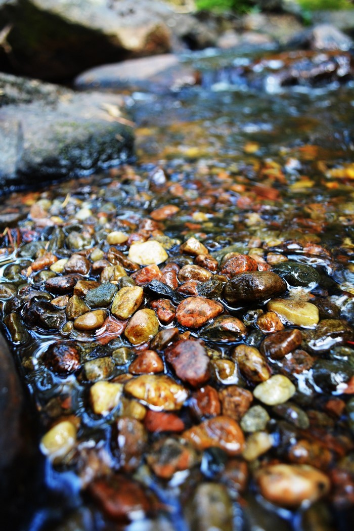 Close-up of colorful wet pebbles in a stream