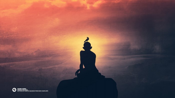 Silhouette of a person with a bird on head at sunset