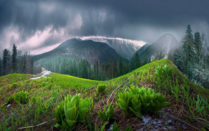 Green hills and mountains under stormy clouds