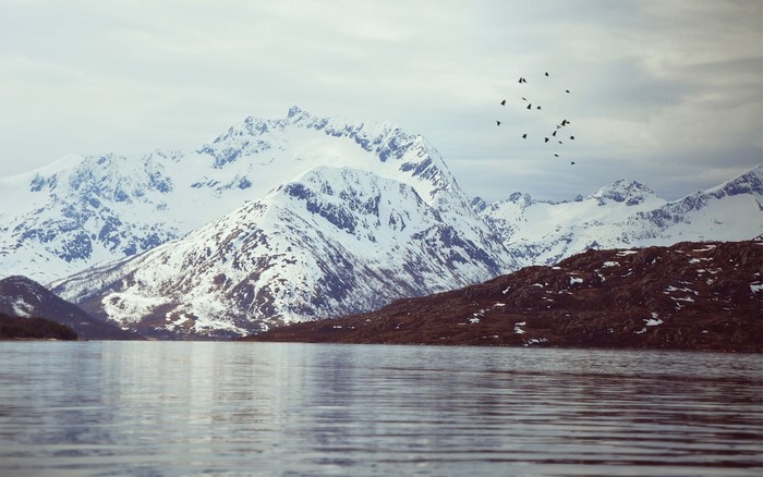 Snow-capped mountains reflected in a calm lake with birds flying
