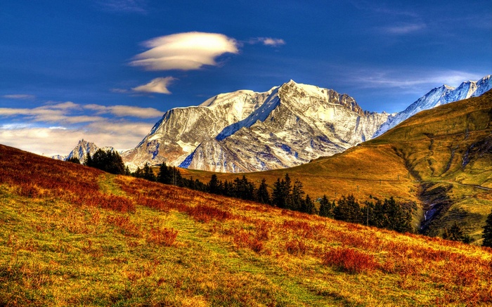 Snow-capped mountains and autumn meadow under blue sky