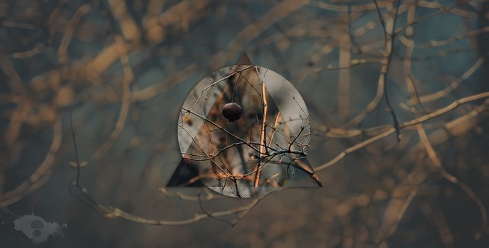 Geometric overlay on bare branches with a single fruit