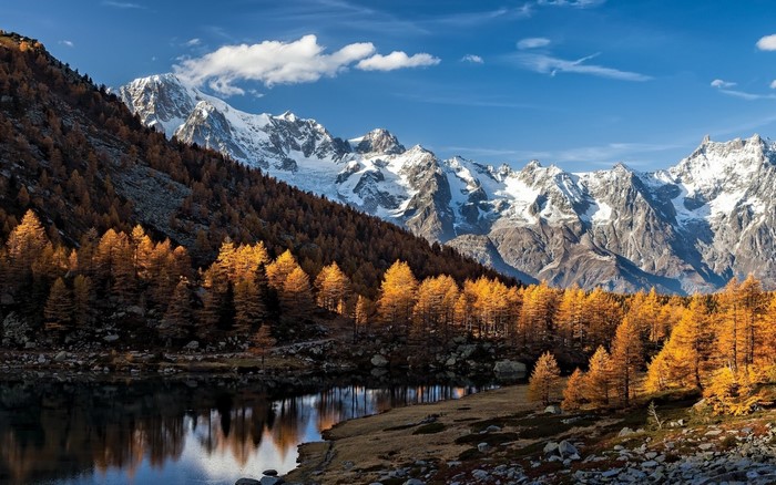 Autumn Forest and Snowy Alps in Italy