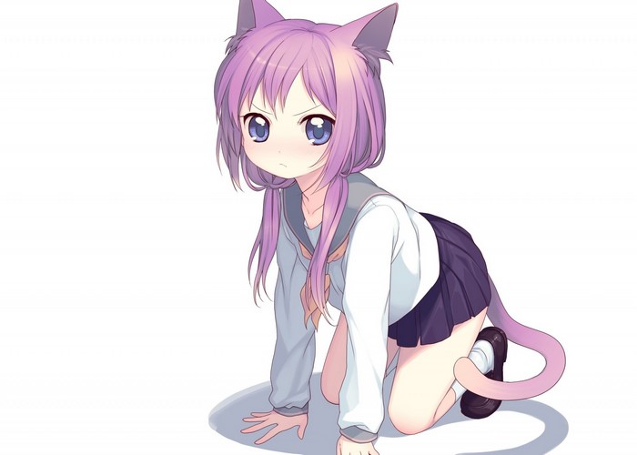 Anime cat girl in school uniform on white background