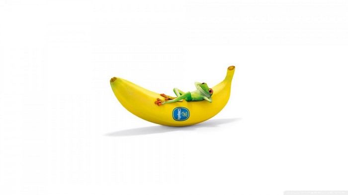 Frog relaxing on a banana with a Chiquita sticker