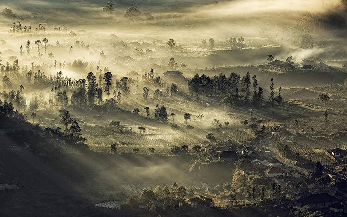 Misty valley with trees and village at dawn