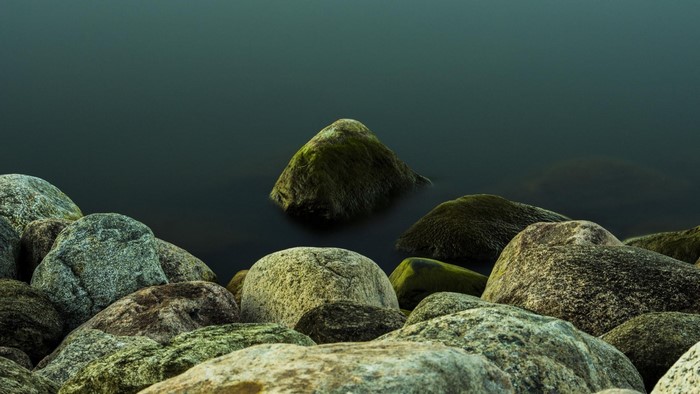 Mossy rocks on the shore of a dark body of water