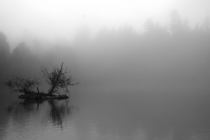 Monochrome landscape with a tree on a small island in fog