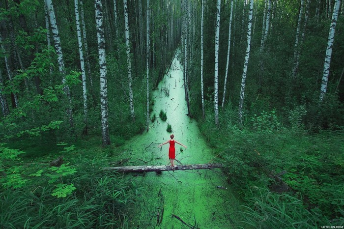 Woman in red dress on a log over a swampy forest stream