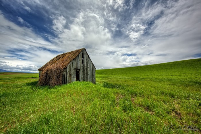 Abandoned barn in a green field under a cloudy sky